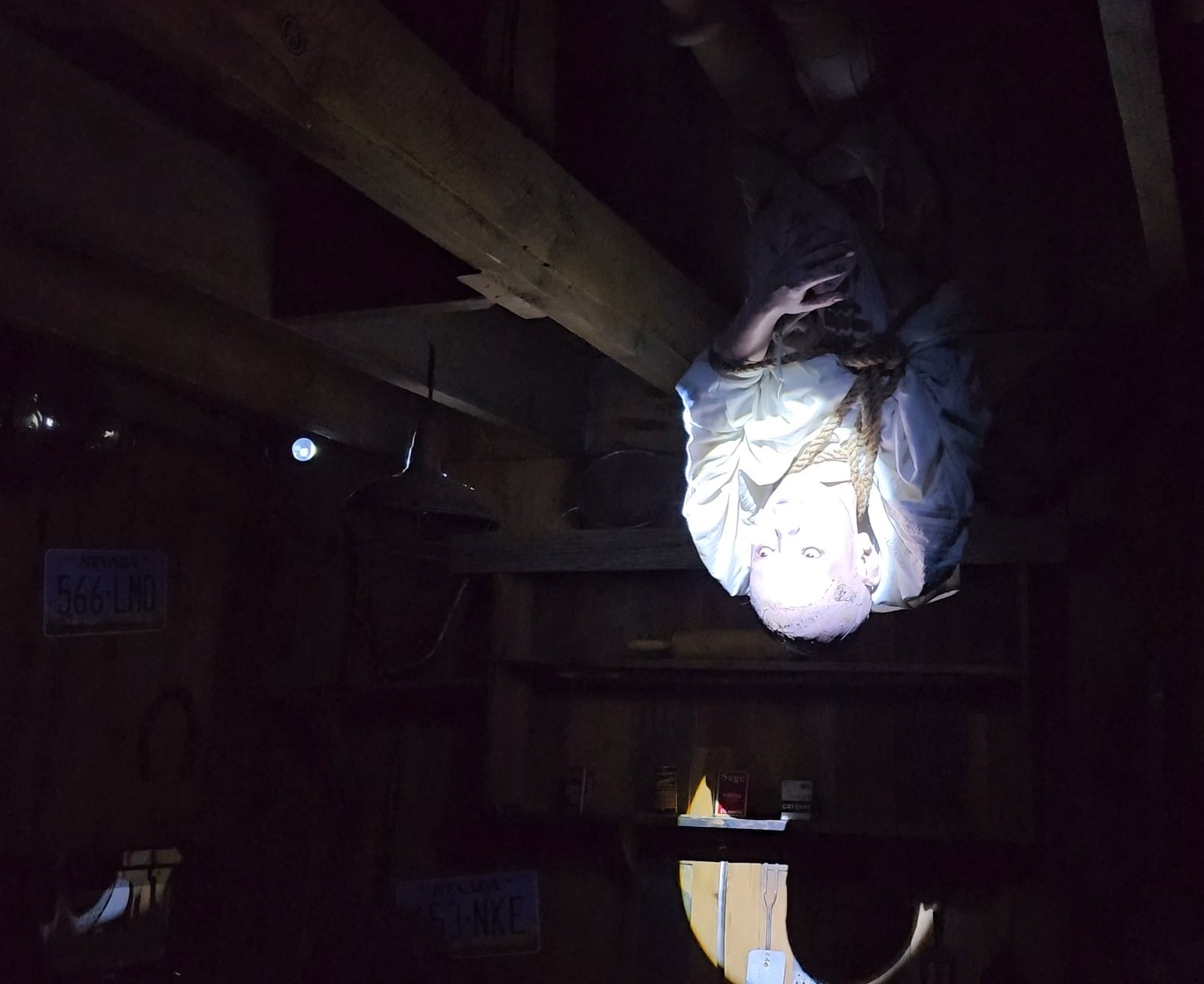A figure hanging upside down from the rafters in a dark room
